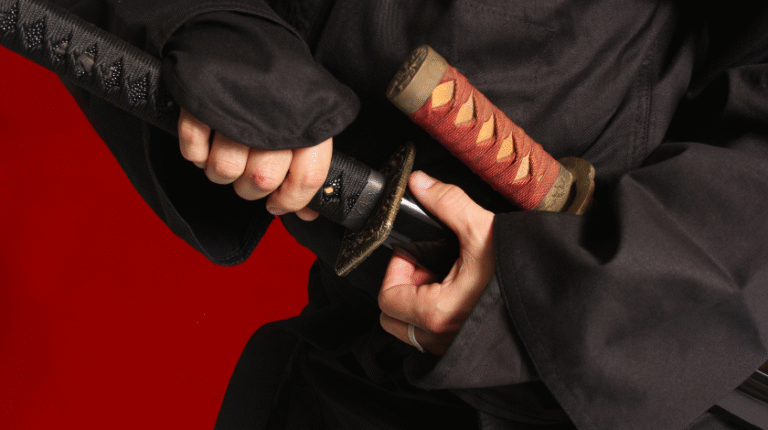 blade sheathed in a saya nyt